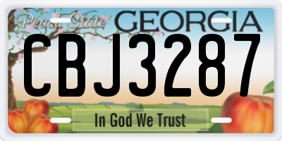 GA license plate CBJ3287
