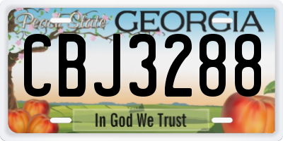 GA license plate CBJ3288