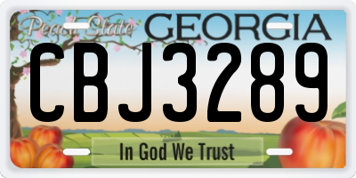 GA license plate CBJ3289