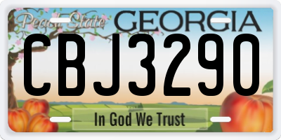 GA license plate CBJ3290