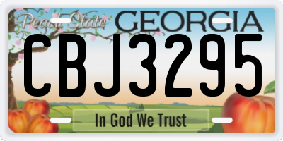 GA license plate CBJ3295