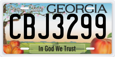 GA license plate CBJ3299