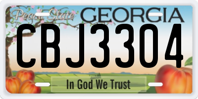 GA license plate CBJ3304