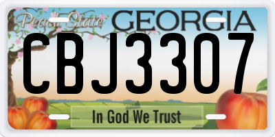 GA license plate CBJ3307