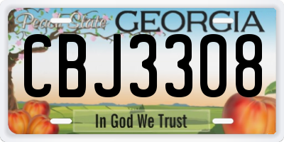 GA license plate CBJ3308
