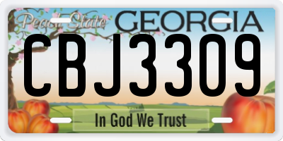 GA license plate CBJ3309