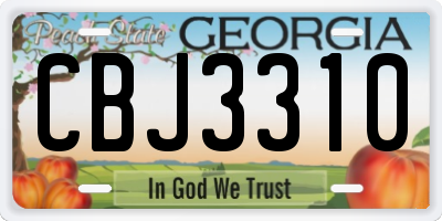 GA license plate CBJ3310