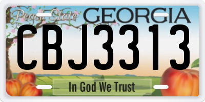GA license plate CBJ3313
