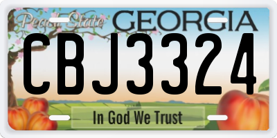 GA license plate CBJ3324