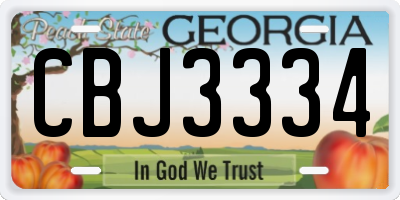 GA license plate CBJ3334