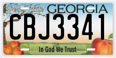 GA license plate CBJ3341