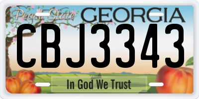 GA license plate CBJ3343