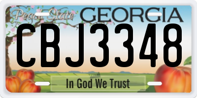 GA license plate CBJ3348