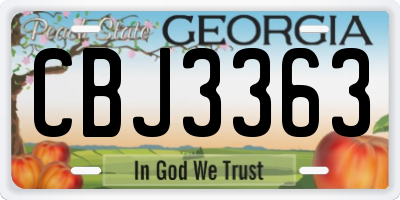 GA license plate CBJ3363