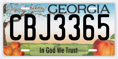 GA license plate CBJ3365
