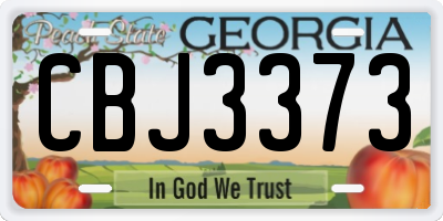 GA license plate CBJ3373