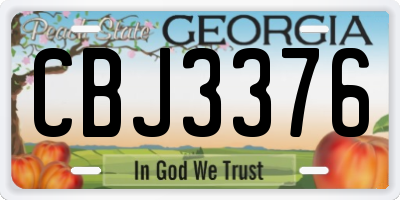 GA license plate CBJ3376