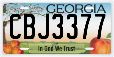 GA license plate CBJ3377