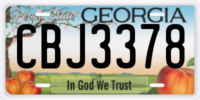 GA license plate CBJ3378