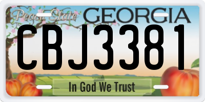 GA license plate CBJ3381