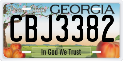 GA license plate CBJ3382
