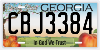 GA license plate CBJ3384