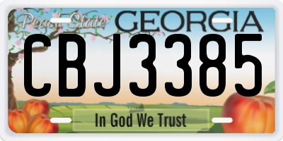 GA license plate CBJ3385