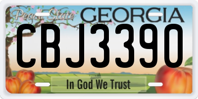 GA license plate CBJ3390