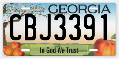 GA license plate CBJ3391