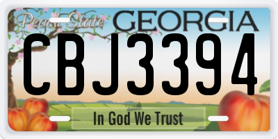GA license plate CBJ3394