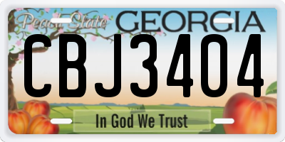 GA license plate CBJ3404
