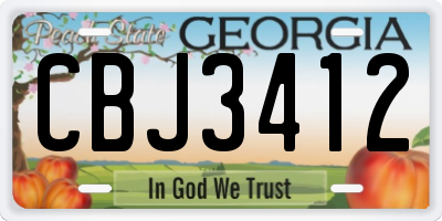 GA license plate CBJ3412