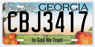 GA license plate CBJ3417