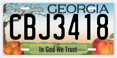 GA license plate CBJ3418