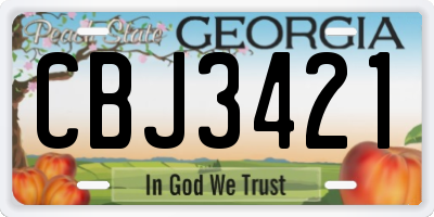 GA license plate CBJ3421