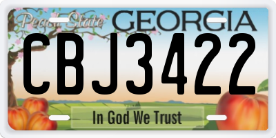 GA license plate CBJ3422