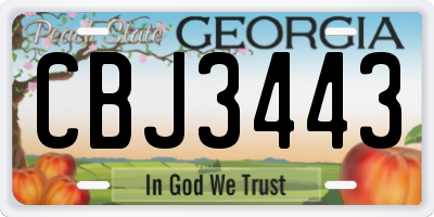 GA license plate CBJ3443