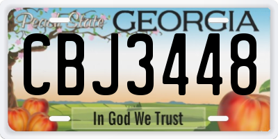 GA license plate CBJ3448