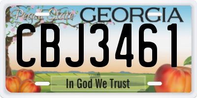GA license plate CBJ3461