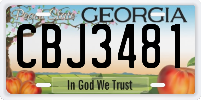 GA license plate CBJ3481