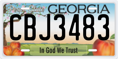 GA license plate CBJ3483
