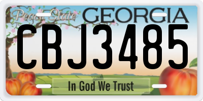GA license plate CBJ3485