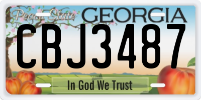 GA license plate CBJ3487