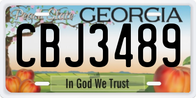 GA license plate CBJ3489