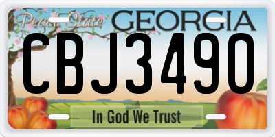 GA license plate CBJ3490