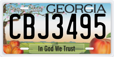 GA license plate CBJ3495