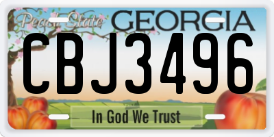 GA license plate CBJ3496