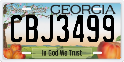 GA license plate CBJ3499