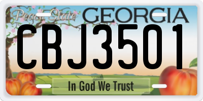 GA license plate CBJ3501