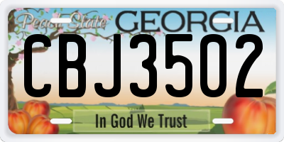 GA license plate CBJ3502